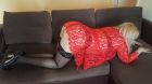 дешевая проститутка Влада, рост: 178, вес: 77, онлайн