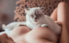 Арина — анкета девушки и фото